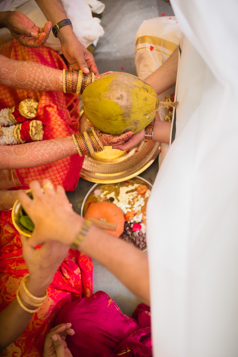 Andhra Brahmin